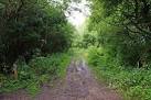 part of an old cart track. - via Daymix