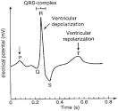 electrocardiogram: Definition from Answers.
