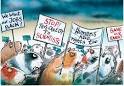 Animal Rights - Just another Edublogs.org weblog
