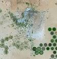 Kufra - Wikipedia, the free encyclopedia