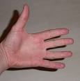 hand - Wiktionary