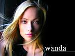 The Host Wanda