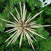 Recycled Christmas Tree, how to make recycled Christmas ornaments