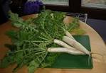 Strange Veggies: Daikon : Disease Proof