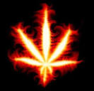 Imagenes De Marihuana