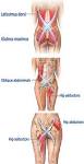 Pittsburgh Chiropractors - Cenk Chiropractic - Voted "Best ...