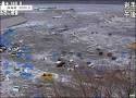 CBBC   Newsround   PICTURES  Japan earthquake and tsunami