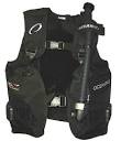 BCD definition - GoodDive.