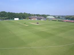 Image result for Wimbledon Cricket Club