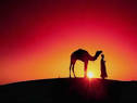 TUNISIA