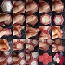 Flickr: English paper piecing / foundation piecing 