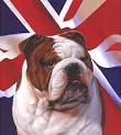 Stereotypes about British culture – how true are they? | Your ...