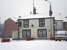 White Lion in the snow - via Daymix