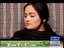 System Babar Sattar,