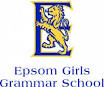 Virtual Learning Network: Epsom Girls Grammar School ICT PD