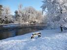 Bench beside the River Wye in winter. The Wye, like any major river, - via Daymix