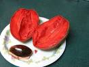 Mamey Sapote - Tropicals Forum - GardenWeb