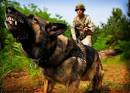 War On Terror News: K9