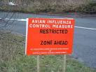 TM1154 : Avian Influenza - via Daymix