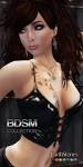 BDSM Collection