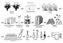 Freixenet sparkling wines from Spain – A leading producer of
