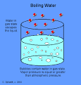 Hydrogen Bonds and Boiling Point