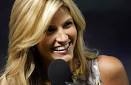 erin andrews sex tape fake