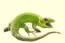 How to create a dragon from a lizard in photoshop   TutorialTub
