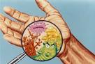 Around the World Blog: Danger Lurks For Airline Passengers-- Germs ...