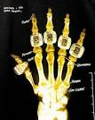 5 rings | Tumblr