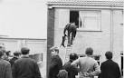 Dramatic dog rescue, Hunter's Crescent, Omagh - via Daymix