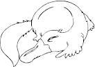 Platypus coloring page