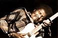 Albert Collins