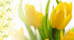 SPRING FORWARD Twitter Background | Twitter Backgrounds