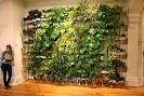 Living Wall | Broken City Lab