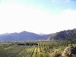 Catamarca Province - Wikipedia, the free encyclopedia