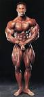 top bodybuilders
