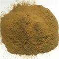 IBOGAINE TA (Total Alkaloid) - Extracts - Cerberus Extract ...