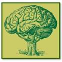 Moral intelligence and civil disobedience - Tampa Bay New Thought ...