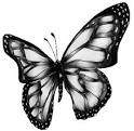 clip art and picture  clip art