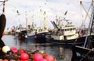 NJ9967 : Purse seine boats landing herring - via Daymix