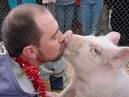 people lip services pigs
