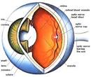 The Eye