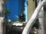 zoo paji 019.jpg