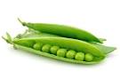 Le <b>petit pois</b>