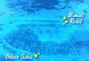 Bimini Road - Crystalinks