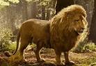 Aslan - WikiNarnia - The Chronicles of Narnia, C.S. Lewis