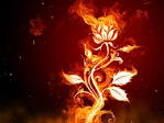 Download Fantastic Fire Animated Wallpaper | DesktopAnimated.