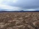 The true summit lies somewhere in the grass &amp; heather just in front of us - via Daymix