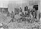 Lewis Hine